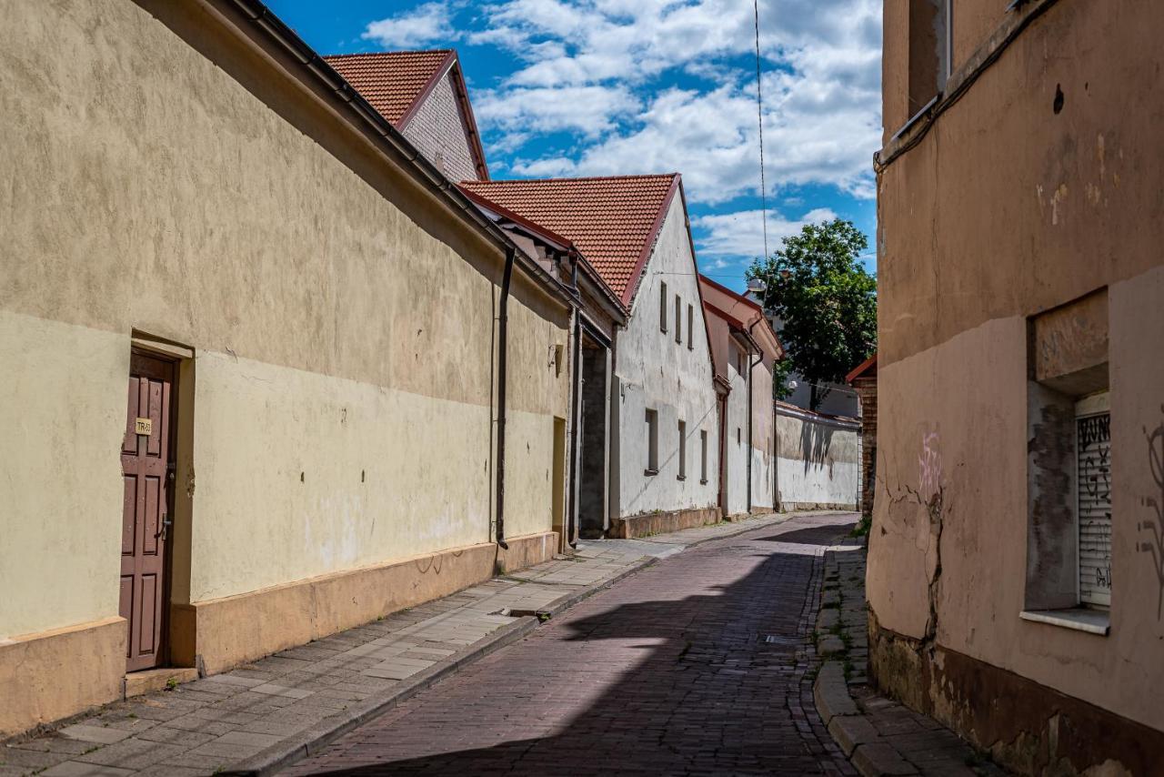 Sun Lighted Cathedral Square Studio Daire Vilnius Dış mekan fotoğraf